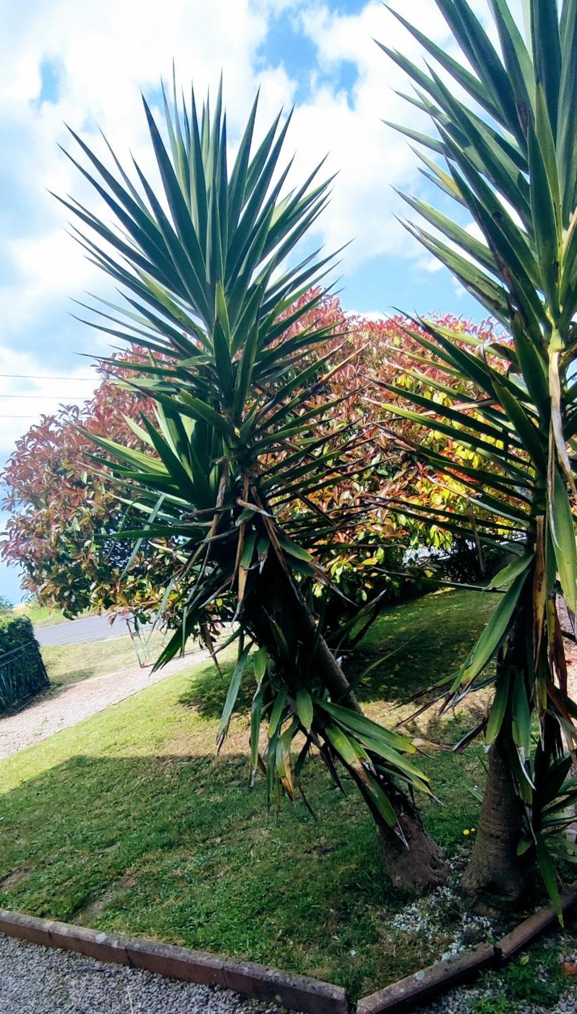 Studio De La Baie Langueux Luaran gambar